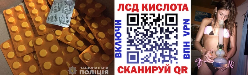 Купить закладки  Кингисепп  ЛСД экстази кислота 