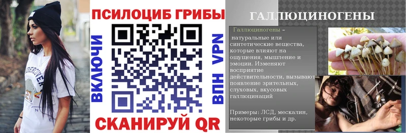Галлюциногенные грибы Psilocybine cubensis  Купить  Кингисепп 